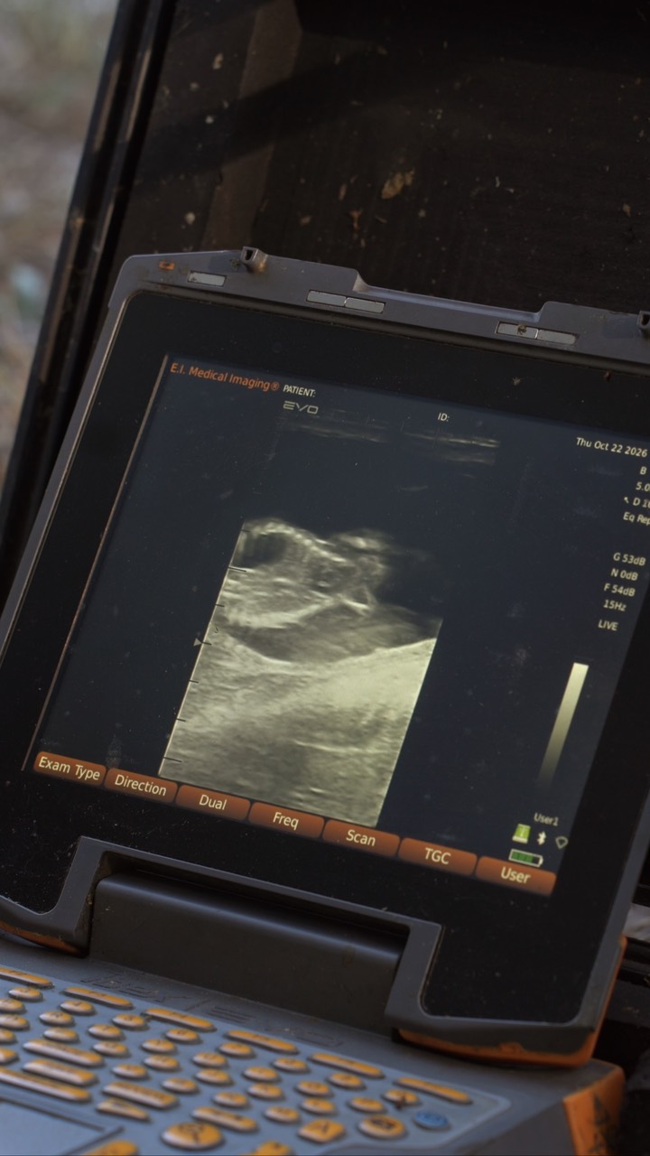 Ultrasound screen in the field